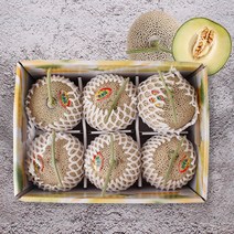 [감동] 머스크 멜론 6.5kg이상 선물세트 명절선물세트, 1box, 6수 6.5kg 내외