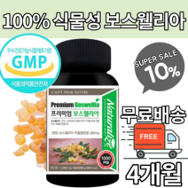 100% 식물성 원료 보스웰리아 원물 가루 분말 염증 붓기 관절 부종 통증 영양제 완화식품 보스웰릭산 초록홍합 상어연골 무릎통증 보스웰리스 보수엘라 akba kba fjcc복합체, 2개월 x 2박스