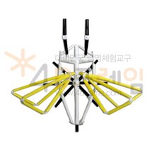 4D프레임 곤충(입체)-벌