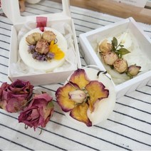 사 왁스타블렛, 원형, 드라이플라워, 잉글리쉬 페어&프리지아