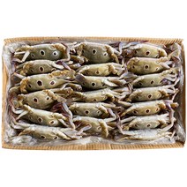 부산이오 삼점게 암게 숫게 6kg 게장용 업소용 도매, 삼점게 100/150 암게 (6kg)