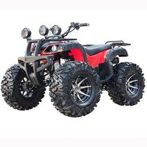 ATV 4륜바이크 4륜오토바이 사륜오토바이 사발이, 리틀 불 패키지 5