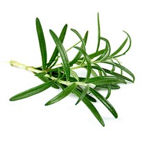 야채왕 로즈마리 1팩 10g 허브 생잎, 로즈마리10g, 1개