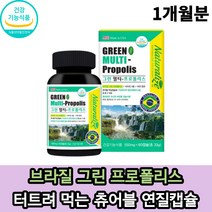 브라질 그린 프로폴리스 츄어블 씹어먹는 60캡슐