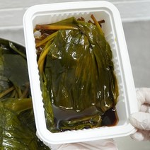 강원도 울릉도 종 명이나물 장아찌 절임 300g X 3팩 산마늘 반찬