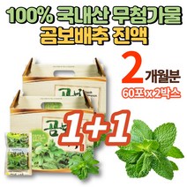 곰배추 못난이 곰보 배추 진액 즙 추출액 액기스 효소 곰보배추차 배암차즈기, 2박스
