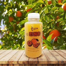 [귤뜨레] 착즙 제주 감귤주스 240ml 14개입 (천혜향)