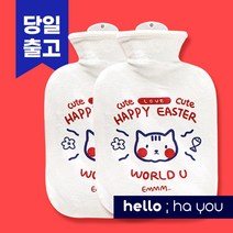 따뜻하유 보온물주머니 미니 핫팩 2개세트 (1+1), 2개