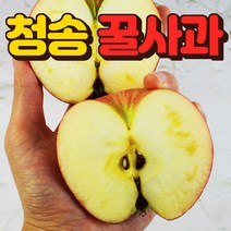 청송 꿀 부사 사과 3kg 5kg 10kg 정품, 꿀사과2kg, 1개