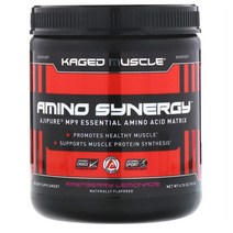 Kaged Muscle 아미노 시너지 라즈베리 레모네이 191G Aa10691 Top Brand 해외 현지 배송, 1정, 1개