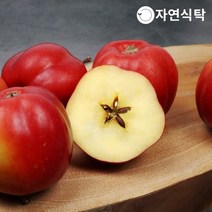 [KT알파쇼핑][신품종]가을스타 고당도 영주 별사과 1.2kg 중소과(22과내외)