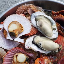 통영장어농장 산지직송 통영 석화+홍가리비 세트, 1박스, B세트(석화3kg+홍가리비3kg)
