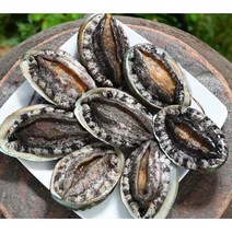 (설선물 친환경포장)명품4호 대전복 선물세트 1.5kg(1kg 12미~13미)+고급선물가방, 명품10호 1kg(8~9미)+선물포장, 특대전복1kg