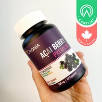 캐나다 오로니아 20배 농축 아사이베리 500mg 180캡슐 약6개월분