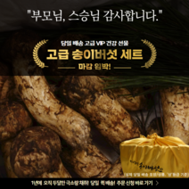 국내산 봉화 자연산 생 송이버섯 1등급 2등급 3등급 등외품, 개산품 1kg
