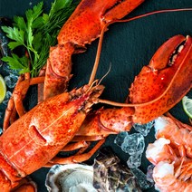 캐나다 자숙 냉동 랍스타 점보 특대 400g 1kg 5kg 대왕 랍스터, 1마리