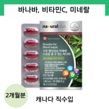 내츄럴플러스 캐나다 식후 혈당엔 바나바 당뇨에 좋은 혈당낮추는 영양제 60정, 1개, 60개