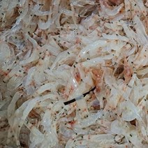 팔딱새우 동백하 김장용 김장생새우, 김장용 생새우 1kg
