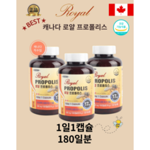 [정품]캐나다직수입완제품 로얄 프로폴리스 대용량 (500mg x 180캡슐) 면역 항산화 고함량 플라보노이드, 500mg x 180캡슐 x 2개(1년분)
