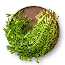 자연진리 제철 국내산 청도 미나리, 청도 미나리 1kg