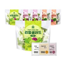 미트리 리얼 샐러드 3종 혼합, 70g, 3종 혼합 6팩(각2팩)