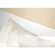 신나라-닷컴_캔손목탄지 130g 50x65 MBM 25장 - 32136 유화용 전문가미술 수채그림 화그림 화방화 수채화_ tlsskfk, S-N-선택사항없습니다, 이상품찜!