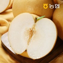 [자연맛남] 농협선별 전남 배 5kg (가정용6-10과), 단품