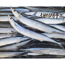 꽁치 냉동꽁치 생선구이 대용량 11kg, 2.냉동꽁치 11kg이상 약110미