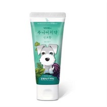 제니튼 주니어 치약 민트향, 24개, 60g