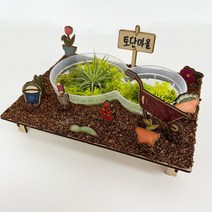 이오난사 연못 테라리움 만들기 DIY 키트 가드닝 키우기, 1개