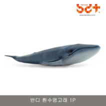 오너클랜 반디 흰수염고래 1P 소프트 해양동물 장난감 모형, 단일, 본품