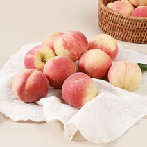[오늘의과일] 고당도 반납작복숭아(대극천) 1kg(10-14과), 1kg, 1개
