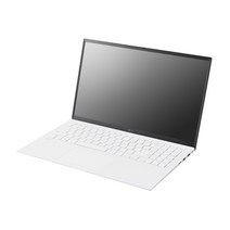 LG전자 2022 그램 15, 256GB, Free DOS, 15ZD90Q-GX56K, 스노우 화이트, 코어i5, 16GB