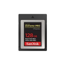 Extreme Pro CFexpress Card 128GB SDCFE-128GB-GN4NN 타입B