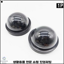 현관설치 범죄방지 보안용 돔형디자인 모형무인카메라 가상시시티비