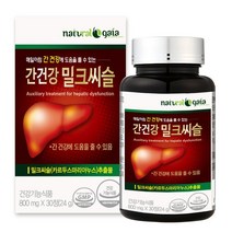 간건강 밀크씨슬 1병(3개월분), 1개