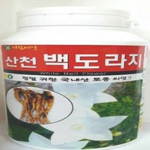 AR 백도라지 씨앗 중통 200g 흰도라지 국내채종 씨앗, 상세페이지 참조