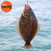 100% 자연산 손질 봄 도다리 급냉 500g 1kg 제철생선, 1팩, 손질도다리(급냉) 500g