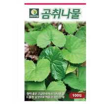 곰취나물 50g 곰취나물씨 곰취나물종자 곰취나물씨앗