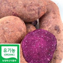 국산 (국산)유기농 자색 고구마 100%친환경, 1개, 7kg