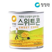 (청정원) 청정원 스위트콘340g x6개, 단품