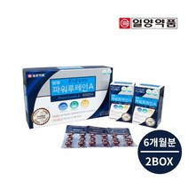 침침 어두운 눈 시력 망막 노화 피로 에 좋은 눈 건강 루테인 비타민A 보호제 TV 컴퓨터 모니터 야간 운전 야근 장시간 잦은 사용, 2BOX(6개월분)