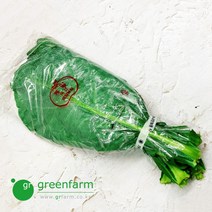 녹즙케일 1단 (약450g), 1개