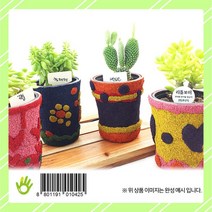 콜크다육화분 만들기 대 4인 3월 재판매 예정, 단품