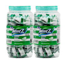 민트지 1+1 듀오민트 2통, 460g, 2개