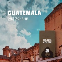 미스터콩 과테말라 안티구아 SHB (당일로스팅 원두커피), 드립&커피메이커, 500g