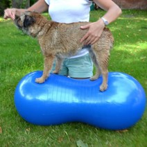 강아지 짐볼 밸런스볼 다리 운동 운동기구 필라테스, 땅콩볼-블루 45x90cm