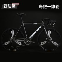 자전거 로드 싸이클 입문 입문용 30만원대 로드자전거, 27인치휠 아이언그레이