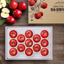[청년연구소] [선물세트] 청송 꿀땡이 사과 5kg 10-14과(대과), 상세 설명 참조