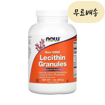 나우푸드 레시틴 과립 454g Lecithin, 1개